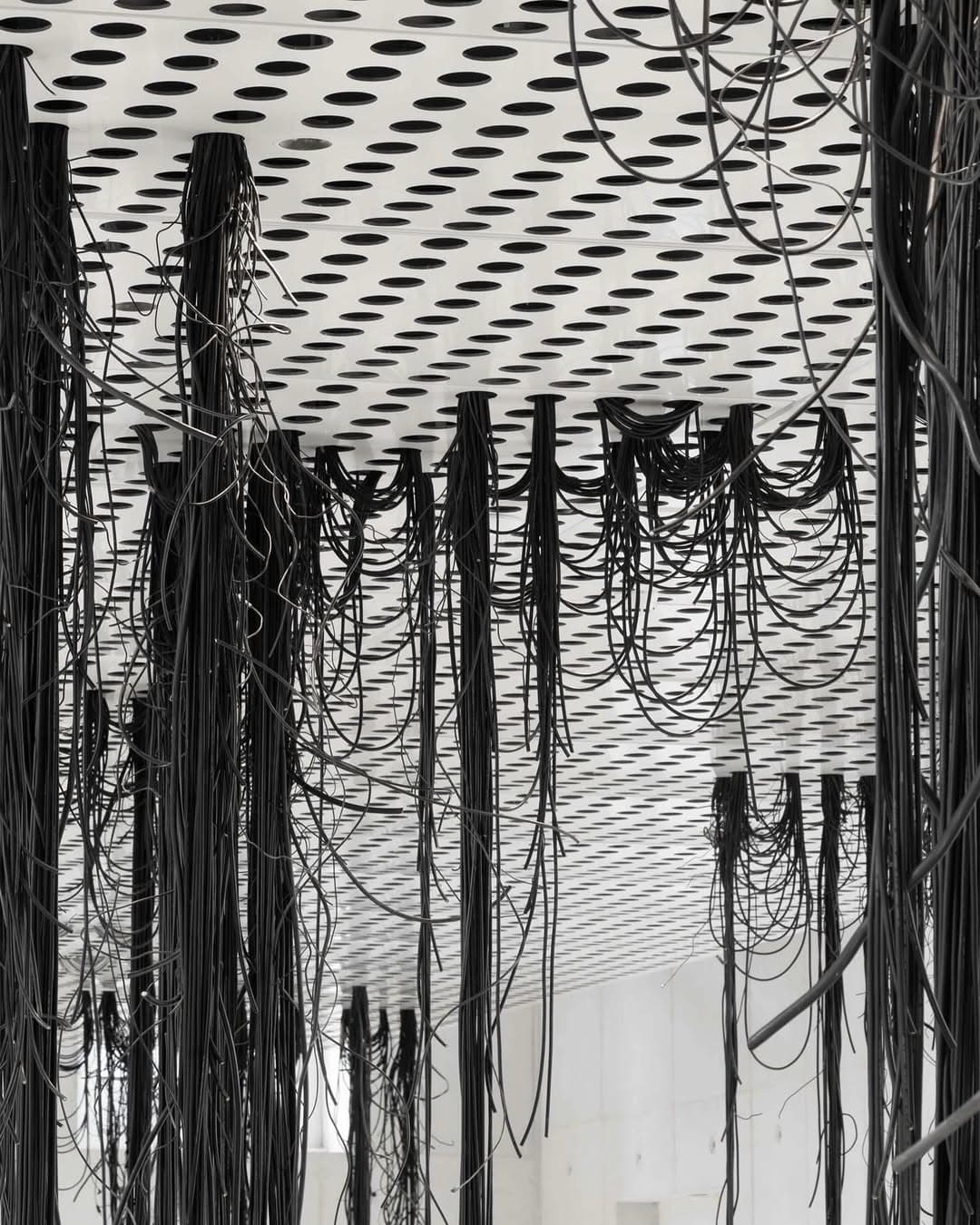 TAR STAR installation view 6
