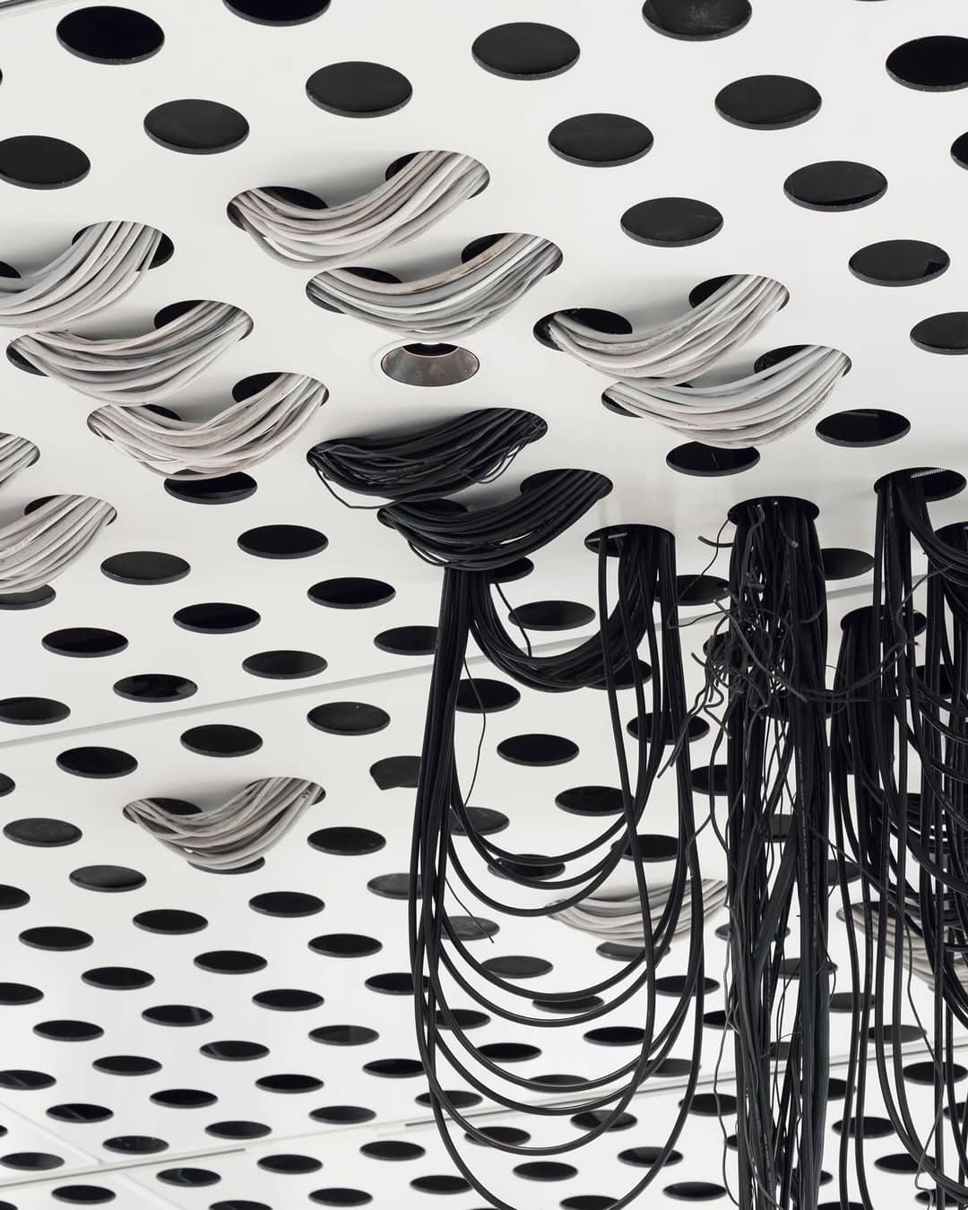 TAR STAR installation view 7