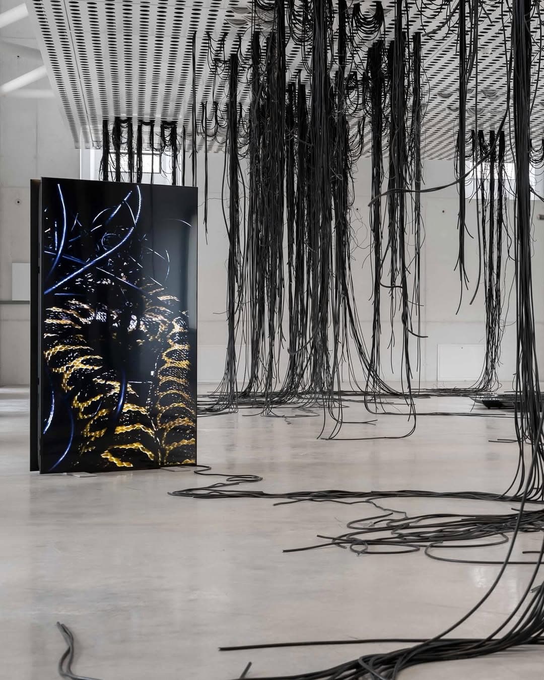 TAR STAR installation view 8