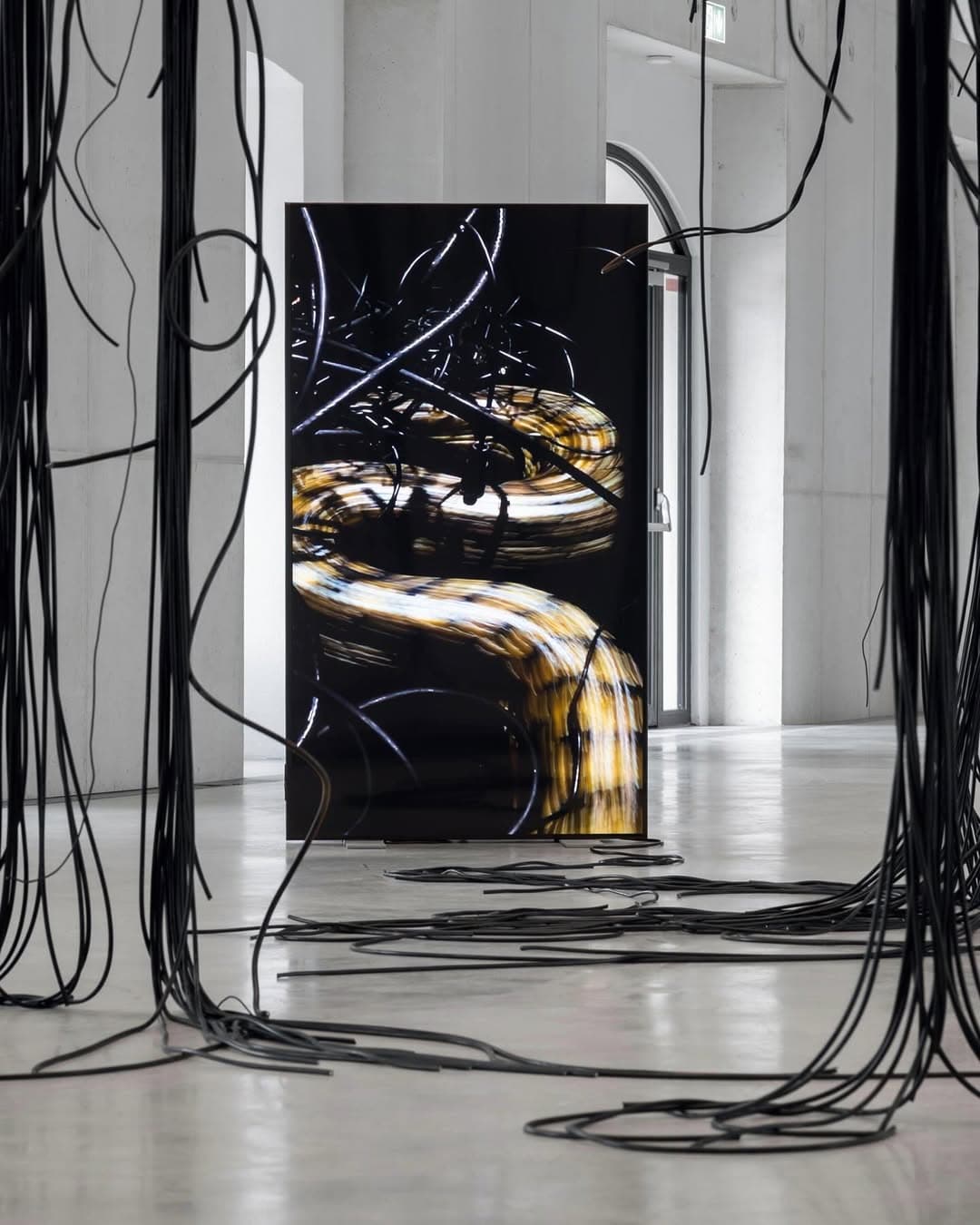 TAR STAR installation view 9
