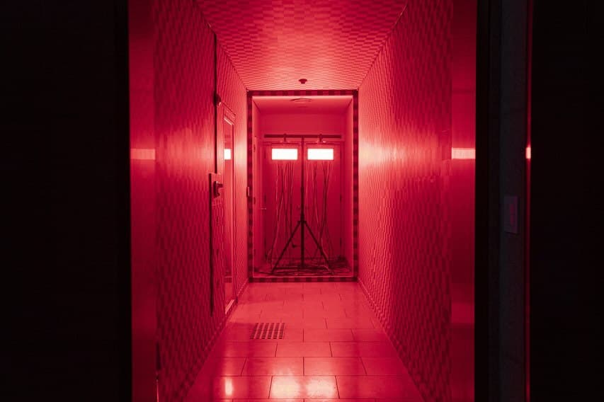 THE LANGUAGE OF THE ENEMY installation view 13