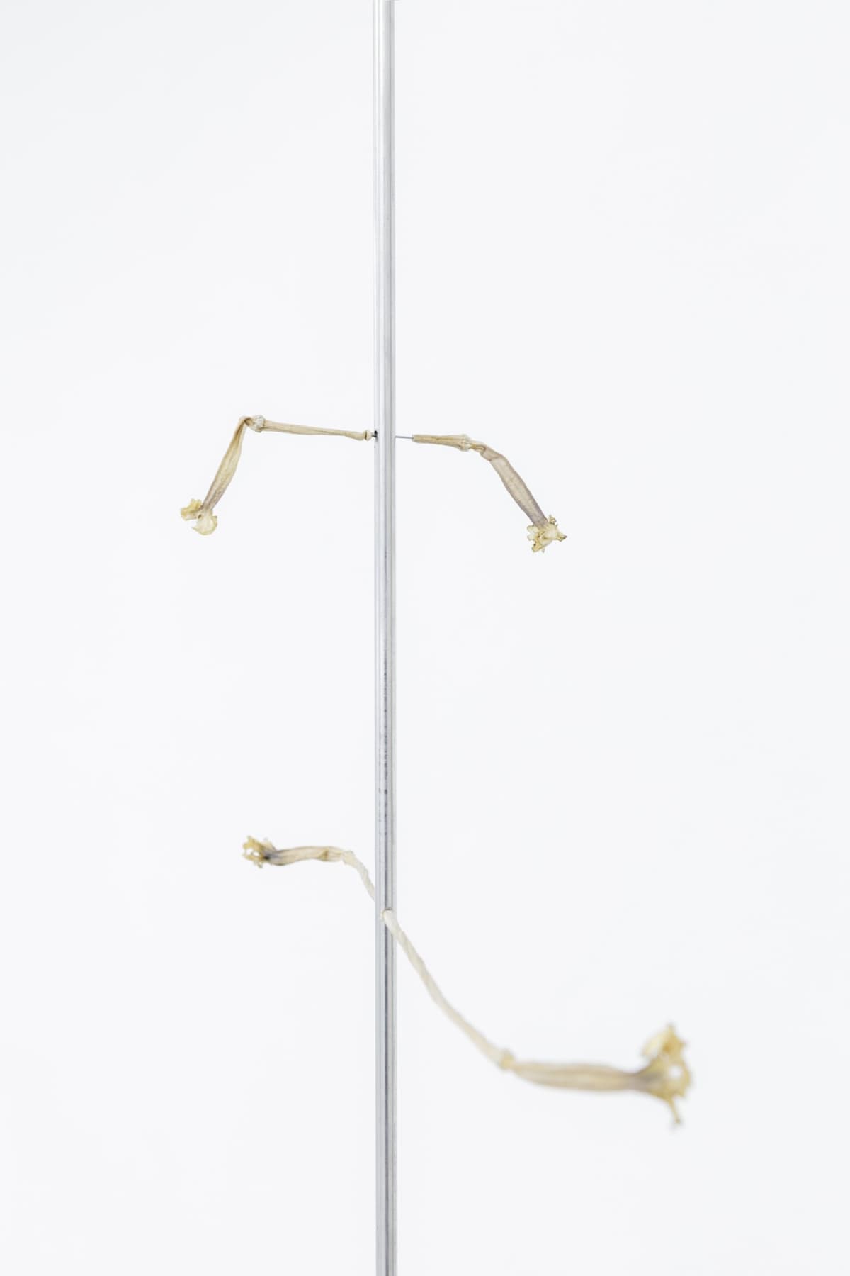 Territories of Extraction installation view 18