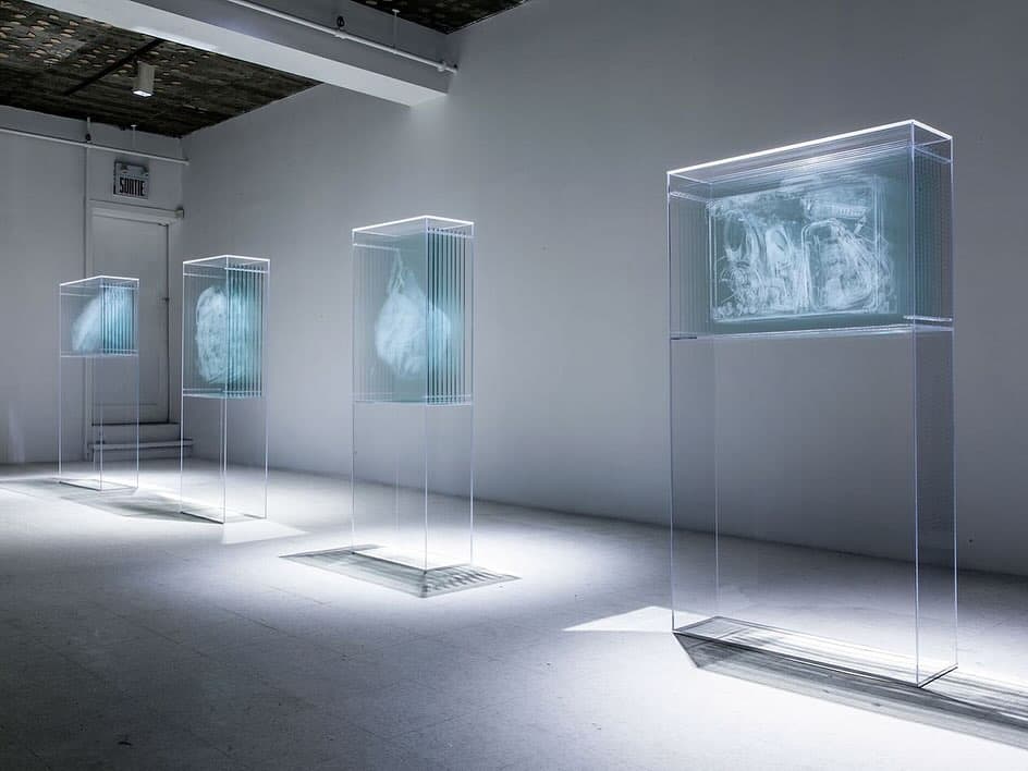TRANSPARENCY REPORT artwork