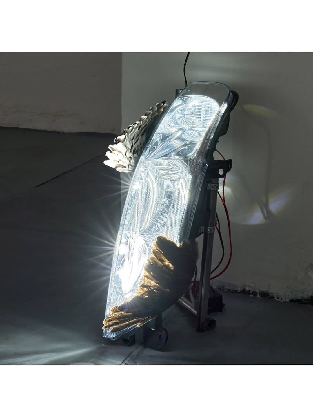 WITH FEATHERS AND FLESH installation view 9