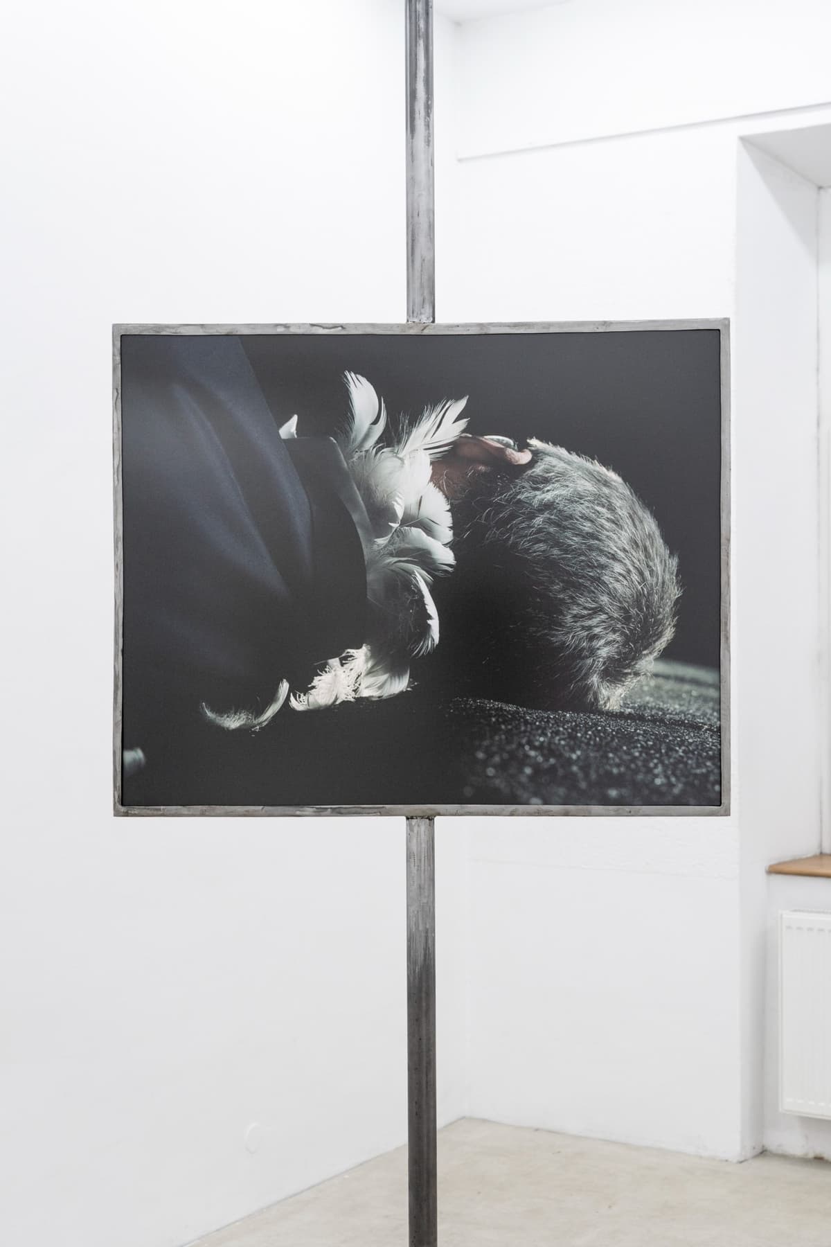 The Shape of a Scar installation view 5