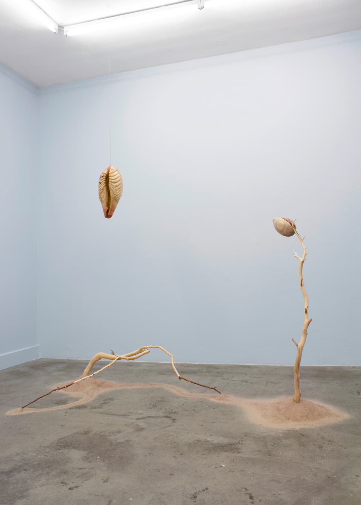 Tomorrow's Forecast, White Clouds Grey Dogs installation view 2