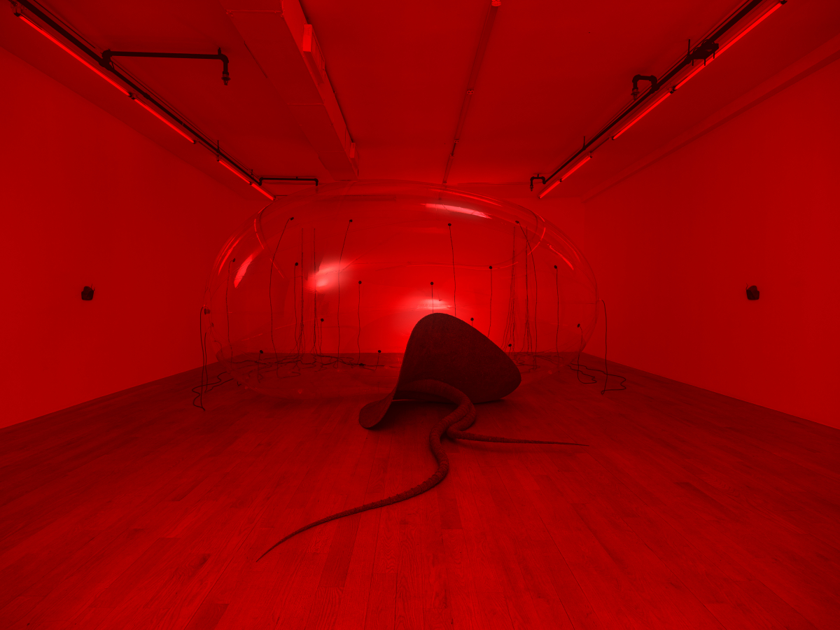 LUCA exhibition view