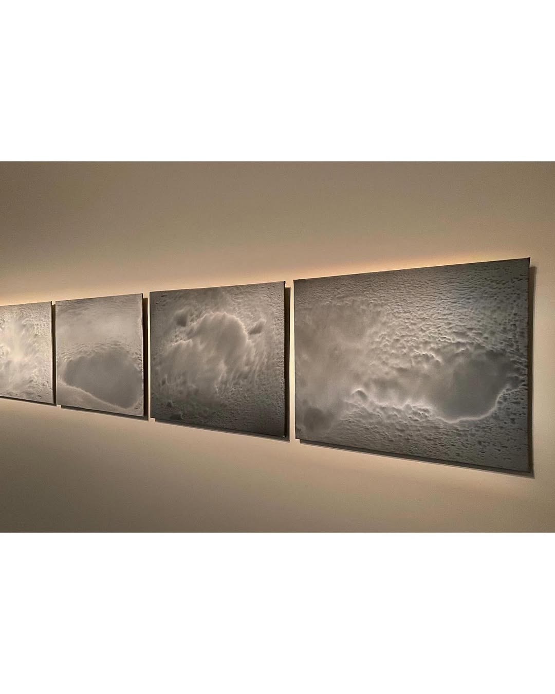 A CERTAIN INSTANCE OF VERRITION installation view 6