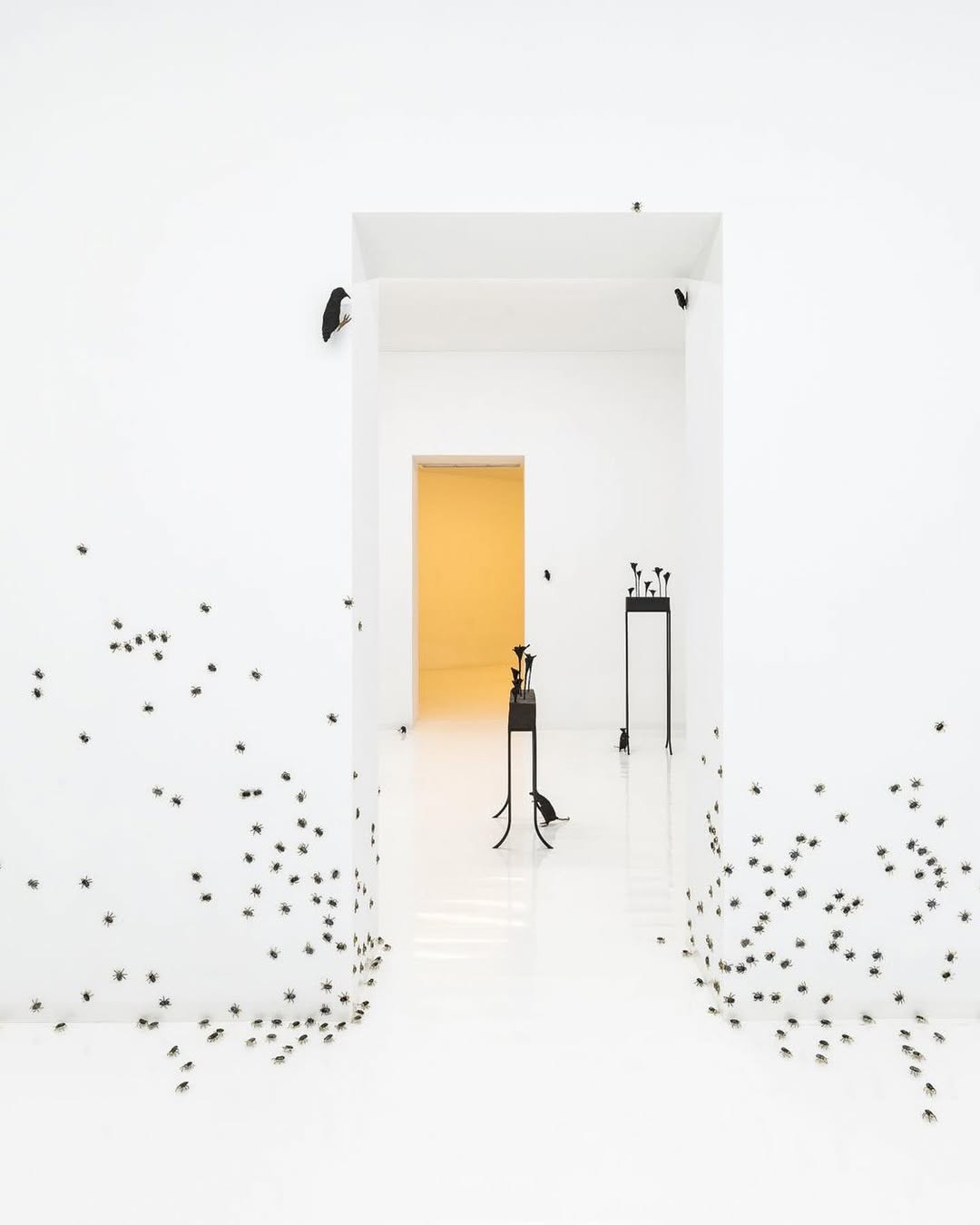CONTEMPT exhibition view