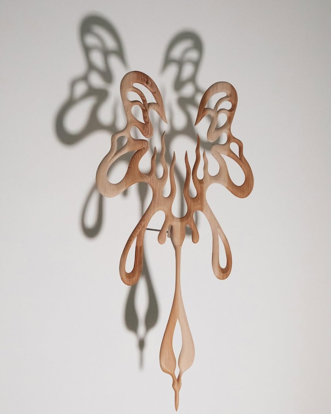 THE WORM AT THE CORE installation view 7