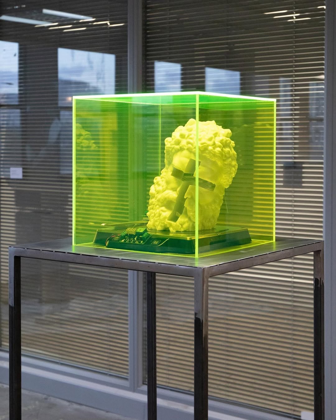 THE WORM AT THE CORE installation view 9