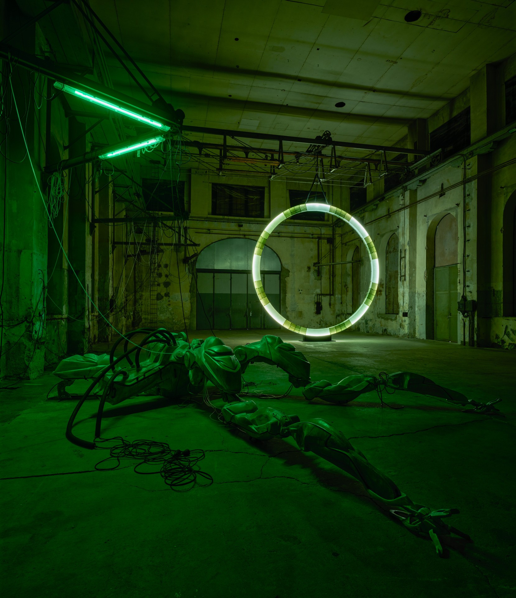 47°24’35’’N / 9°44’20’’E installation view 2