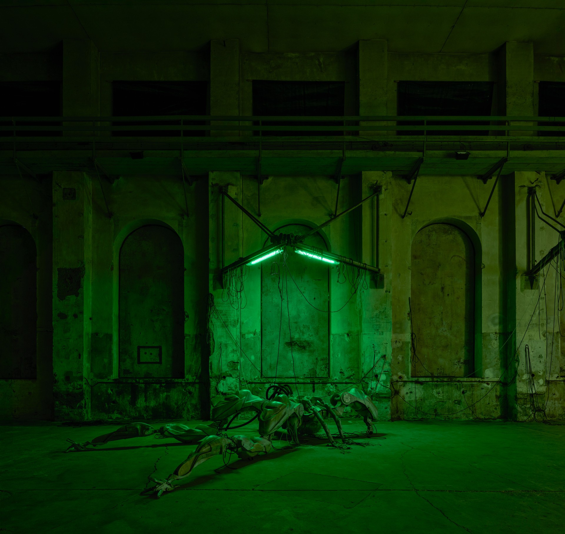 47°24’35’’N / 9°44’20’’E installation view 5