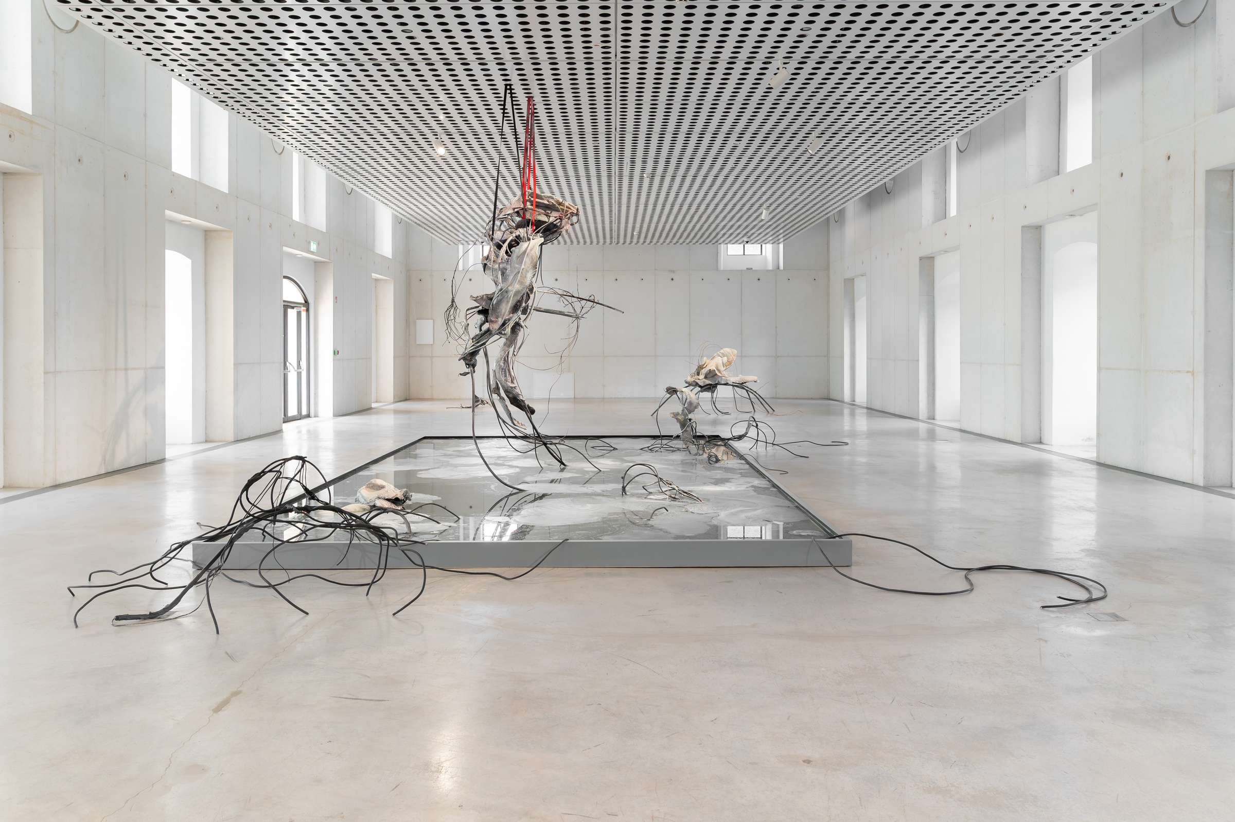 ACCOMPLICE installation view 2