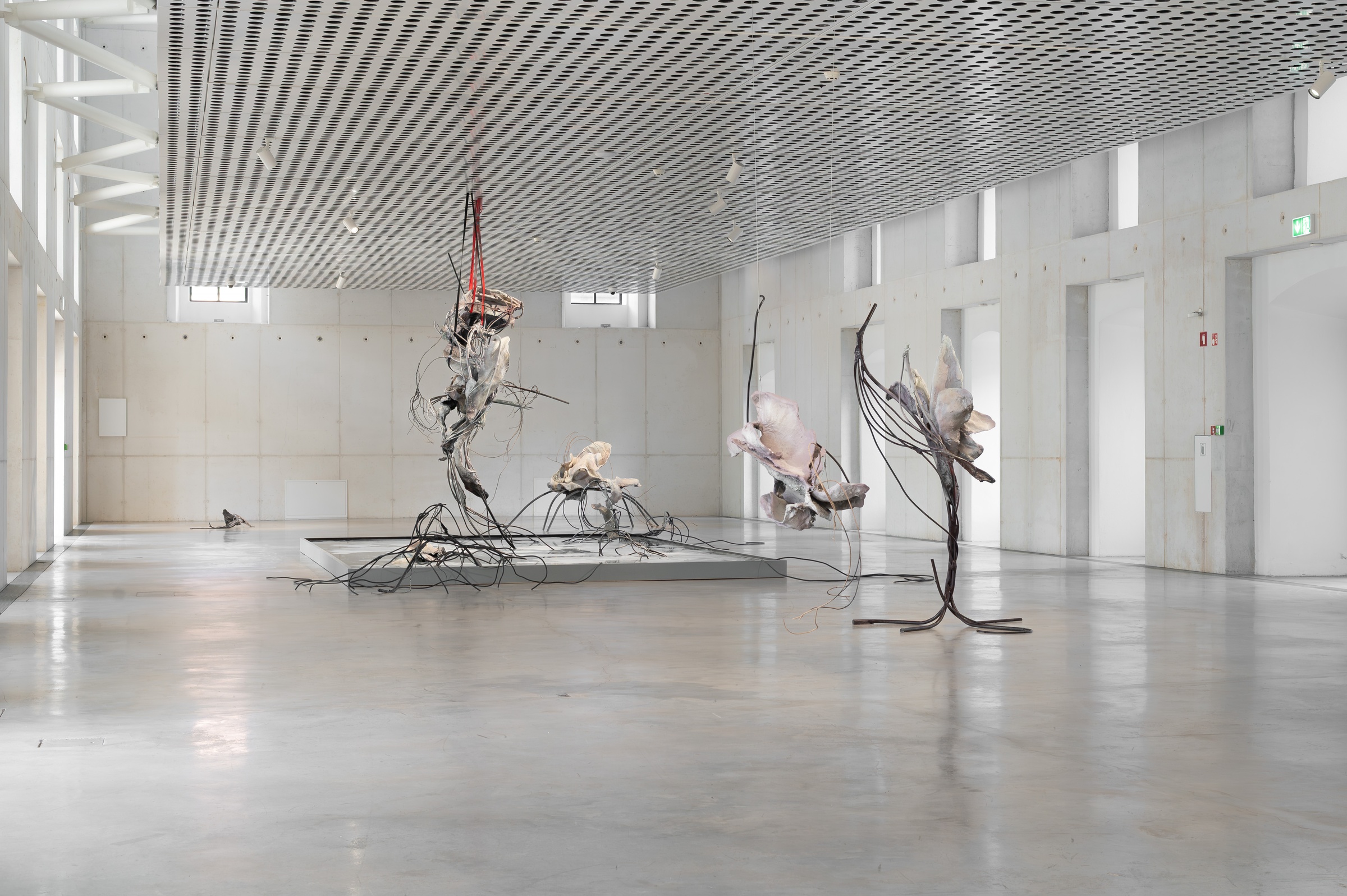 ACCOMPLICE installation view 4