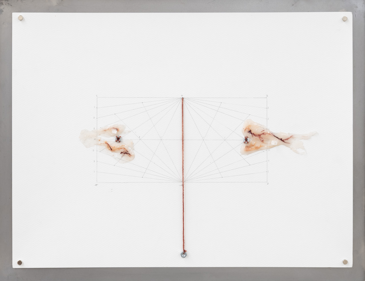 AXES installation view 16