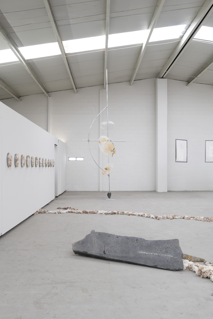 AXES installation view 6