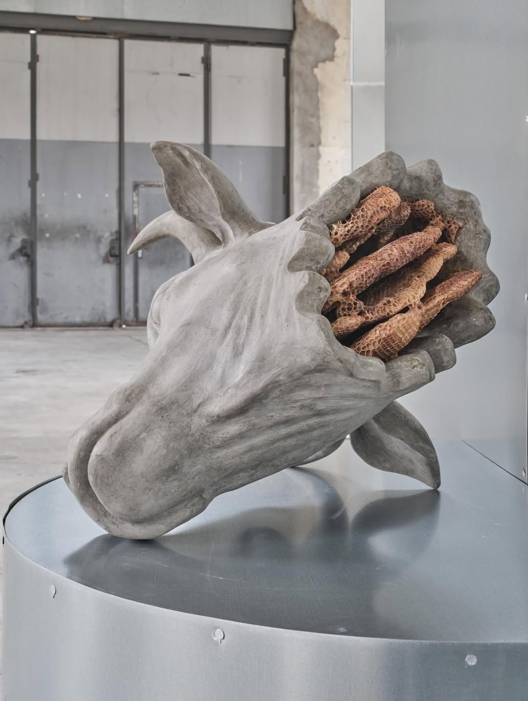 BUCOLICA installation view 8