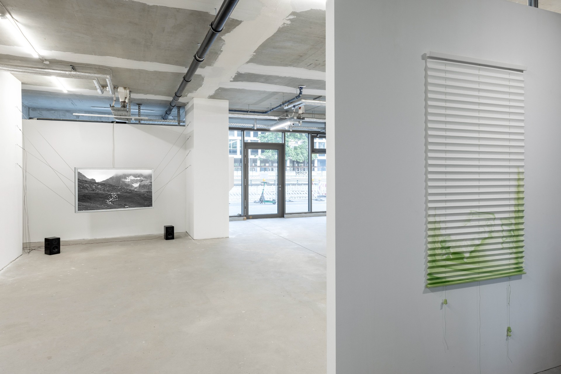 Caged movements installation view 5