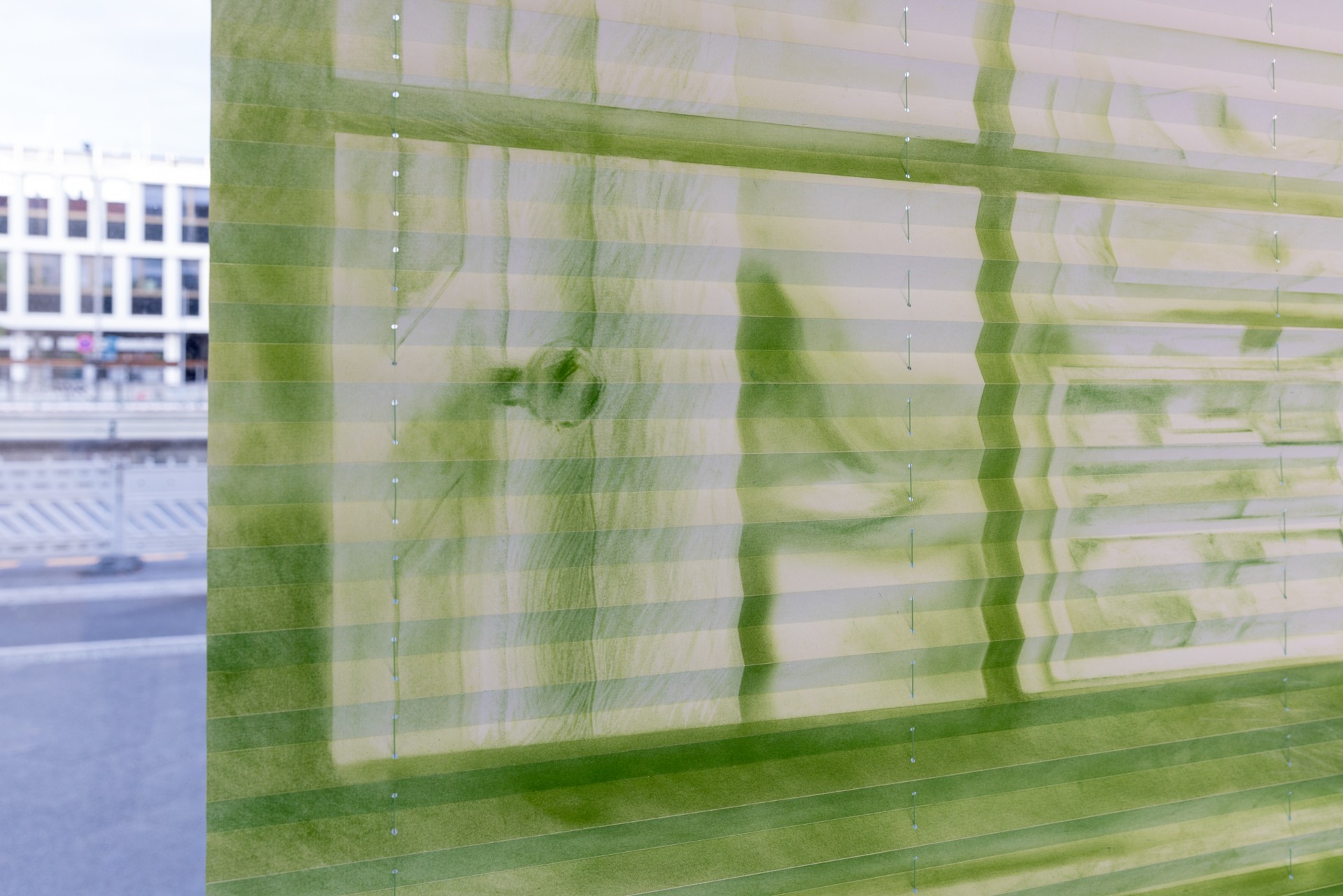 Caged movements installation view 8