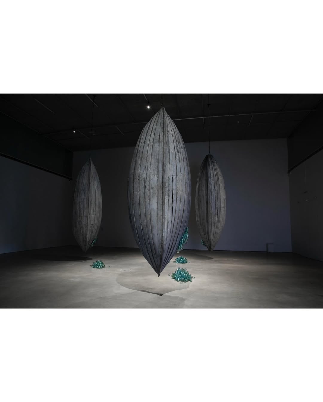DEEP SEA FISH installation view 8