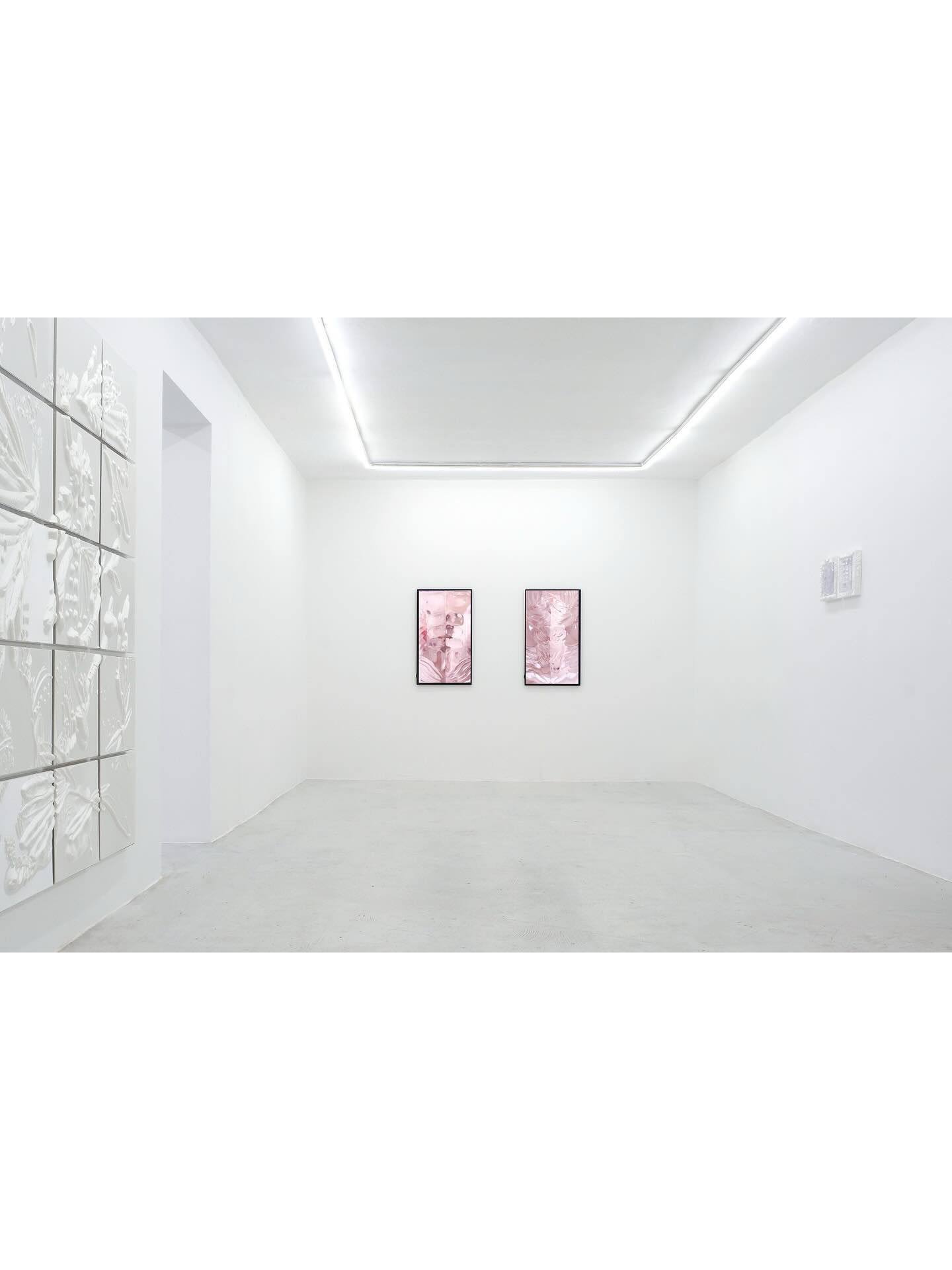 DESIRING MACHINES installation view 5
