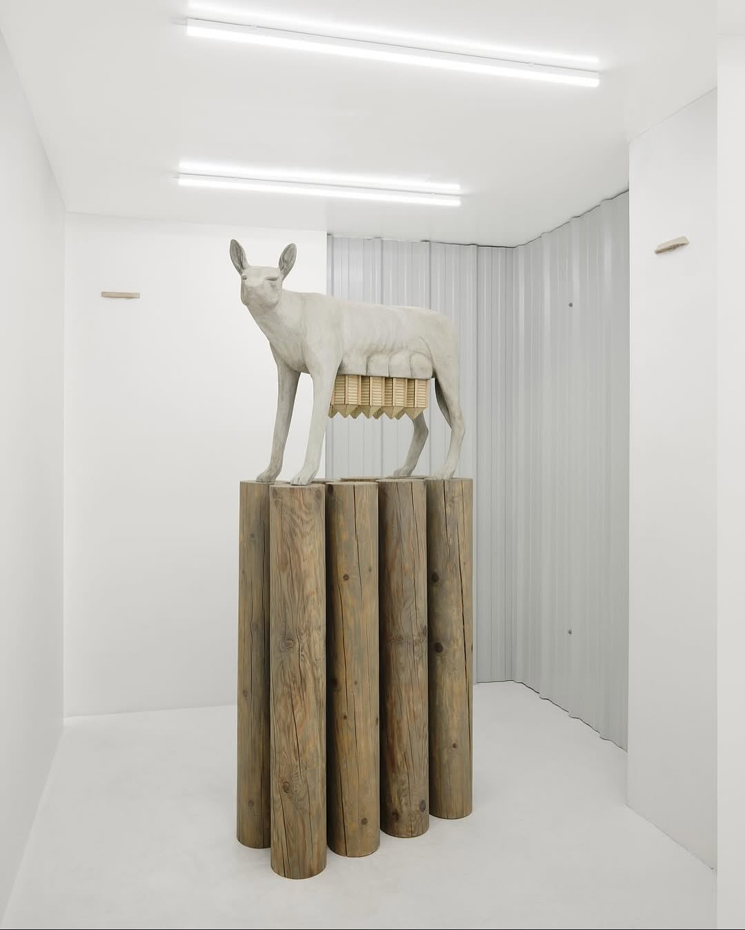 PULSES WITHIN installation view 6