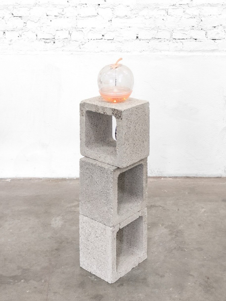 CHEWING GUM IN THE MOTHERBOARD installation view 5