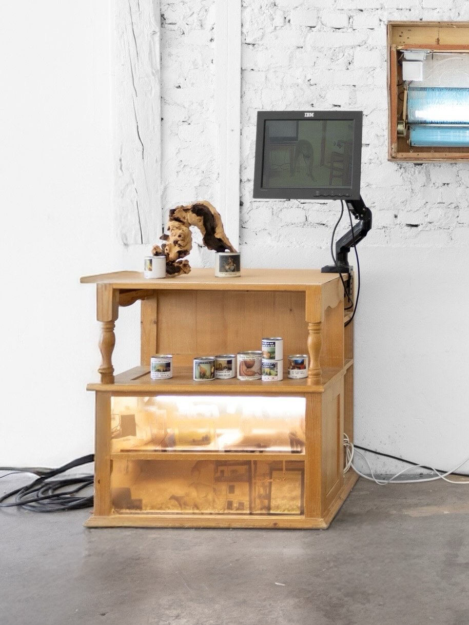 CHEWING GUM IN THE MOTHERBOARD installation view 13