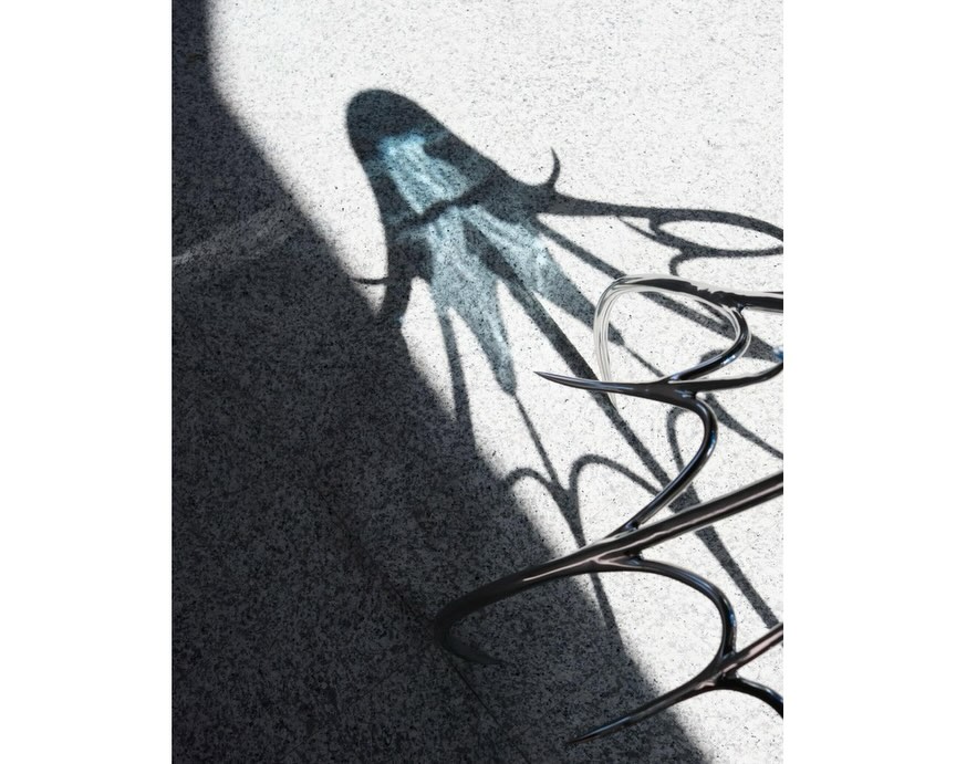 BLUE BLOODED installation view 7
