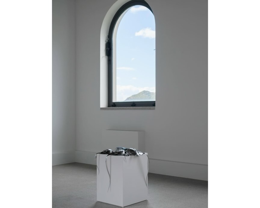 BLUE BLOODED installation view 17