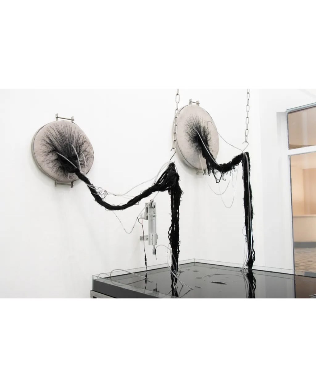 COAGVLA installation view 2