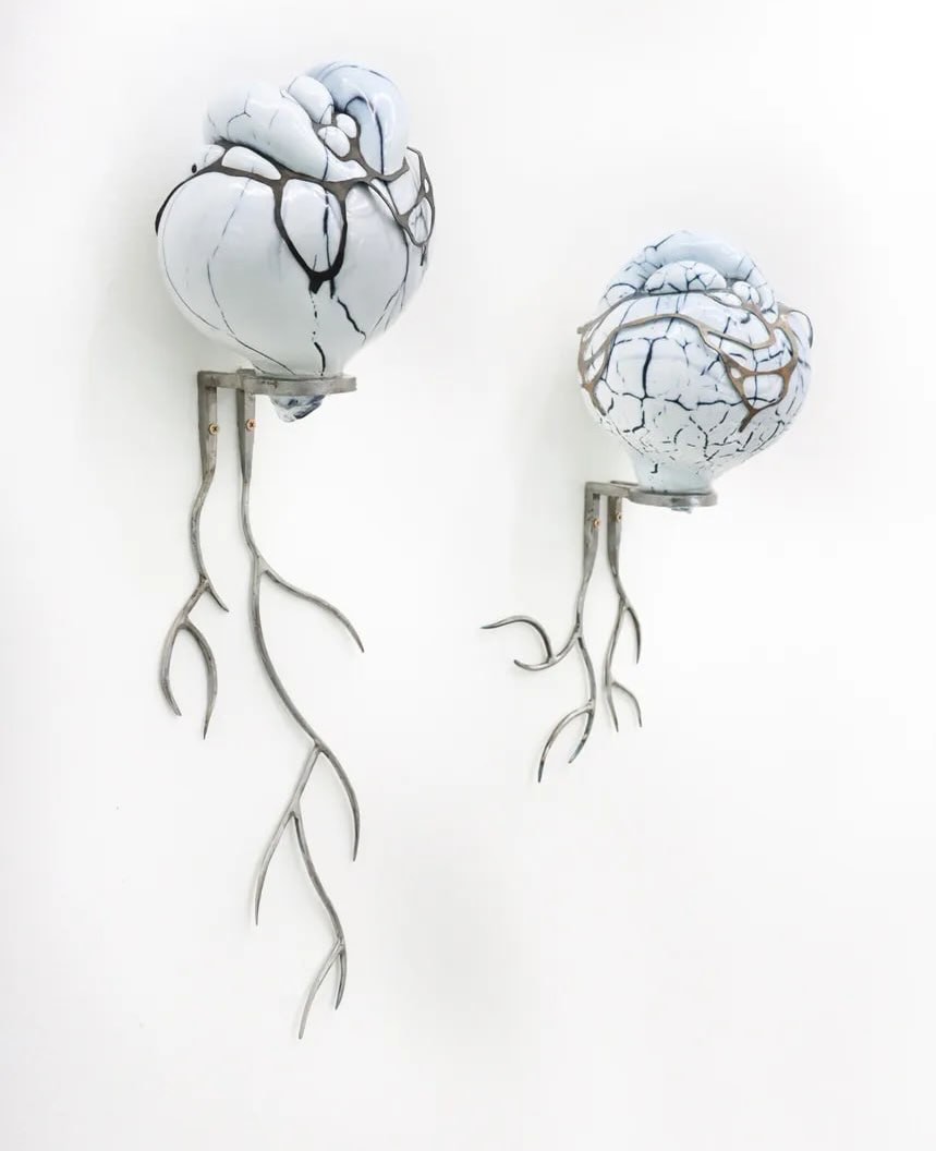 COAGVLA installation view 4
