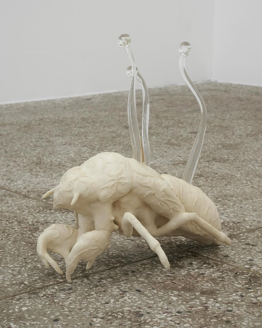 FARM installation view 6