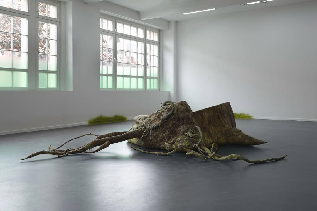 GREEN GROWTH installation view