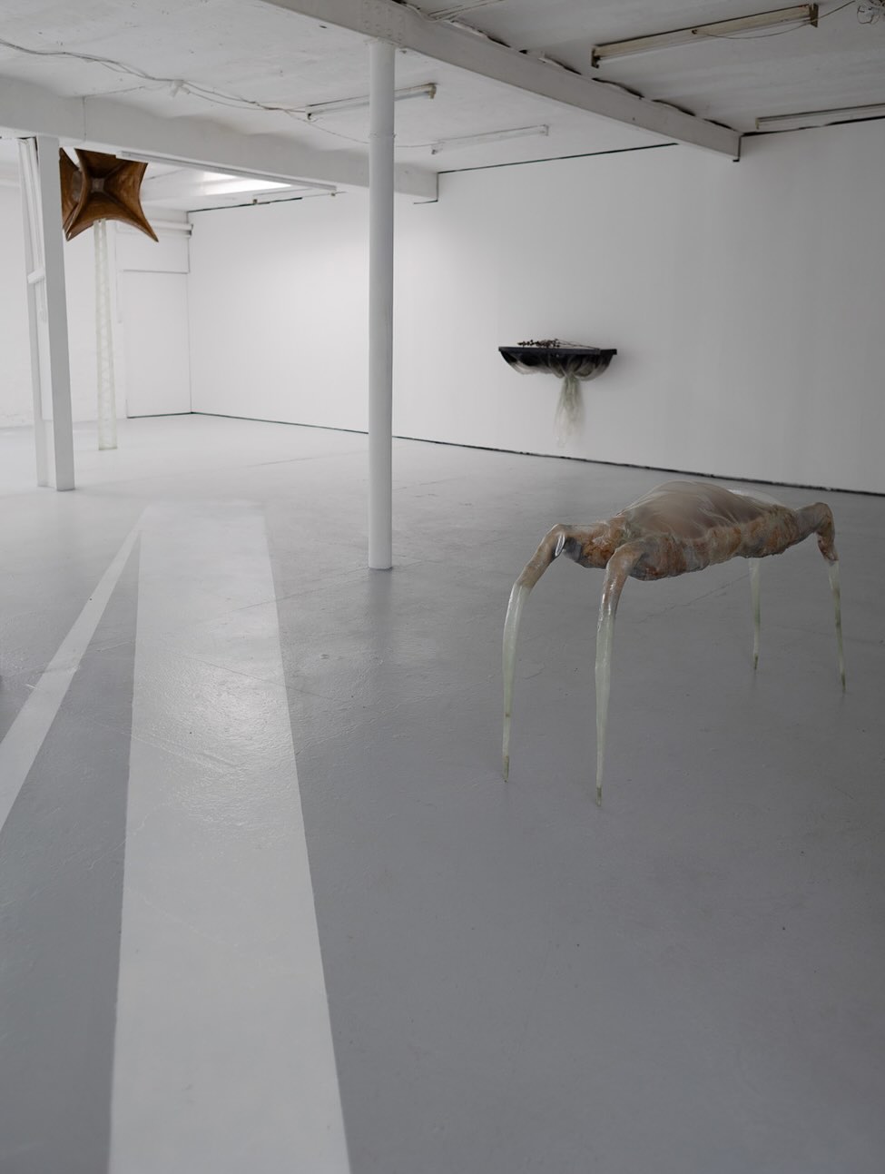 JUST ABOUT AND NEVER installation view 4