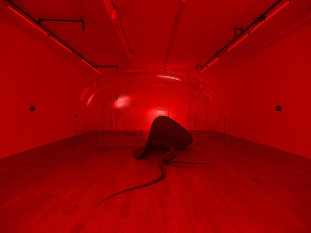 LUCA installation view
