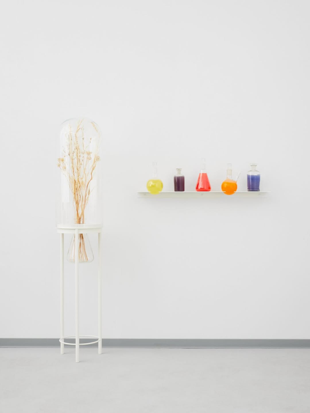 MOONLIT BOTANICAL COLOUR THEORIES installation view 5