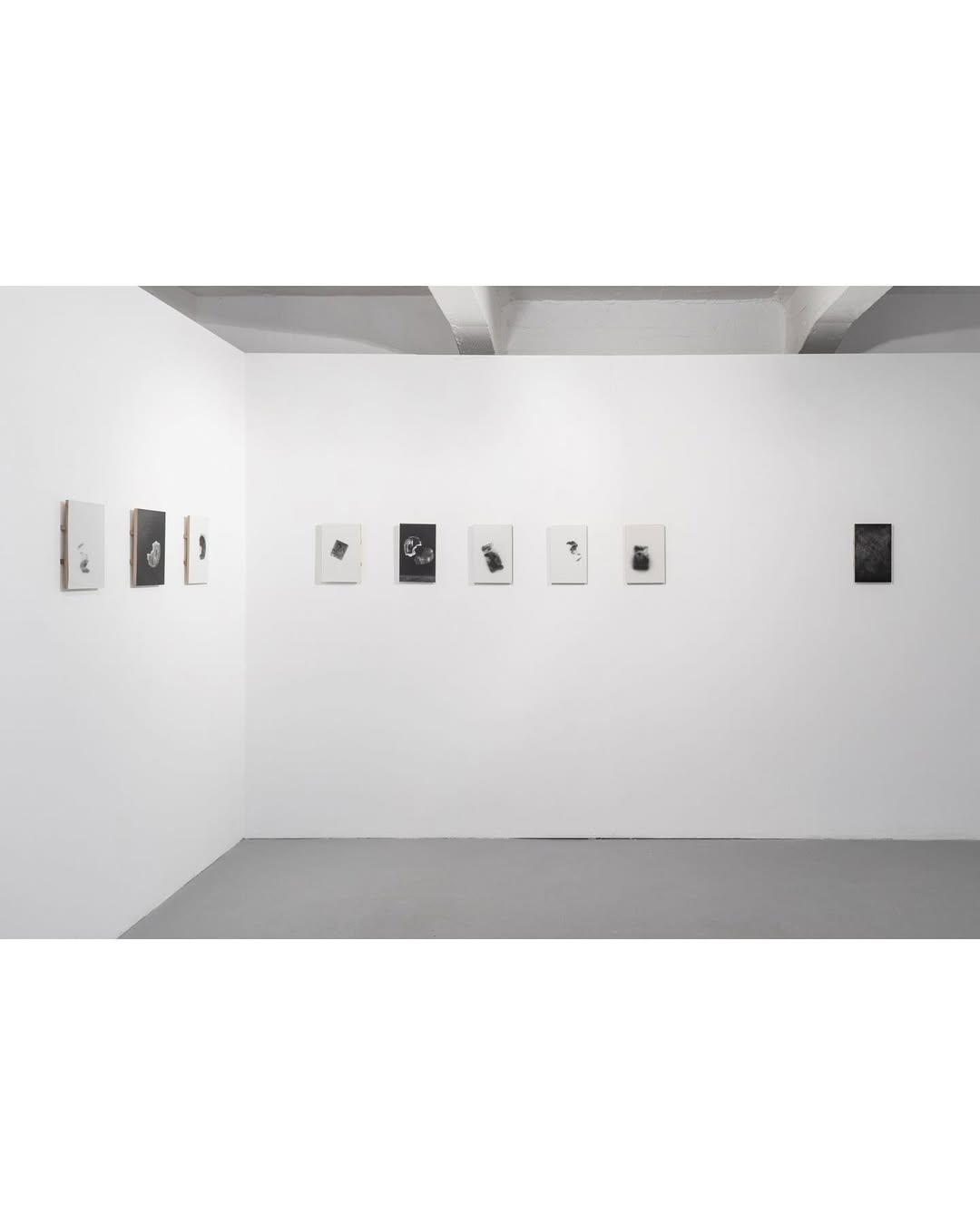 PETRICHOR installation view 8