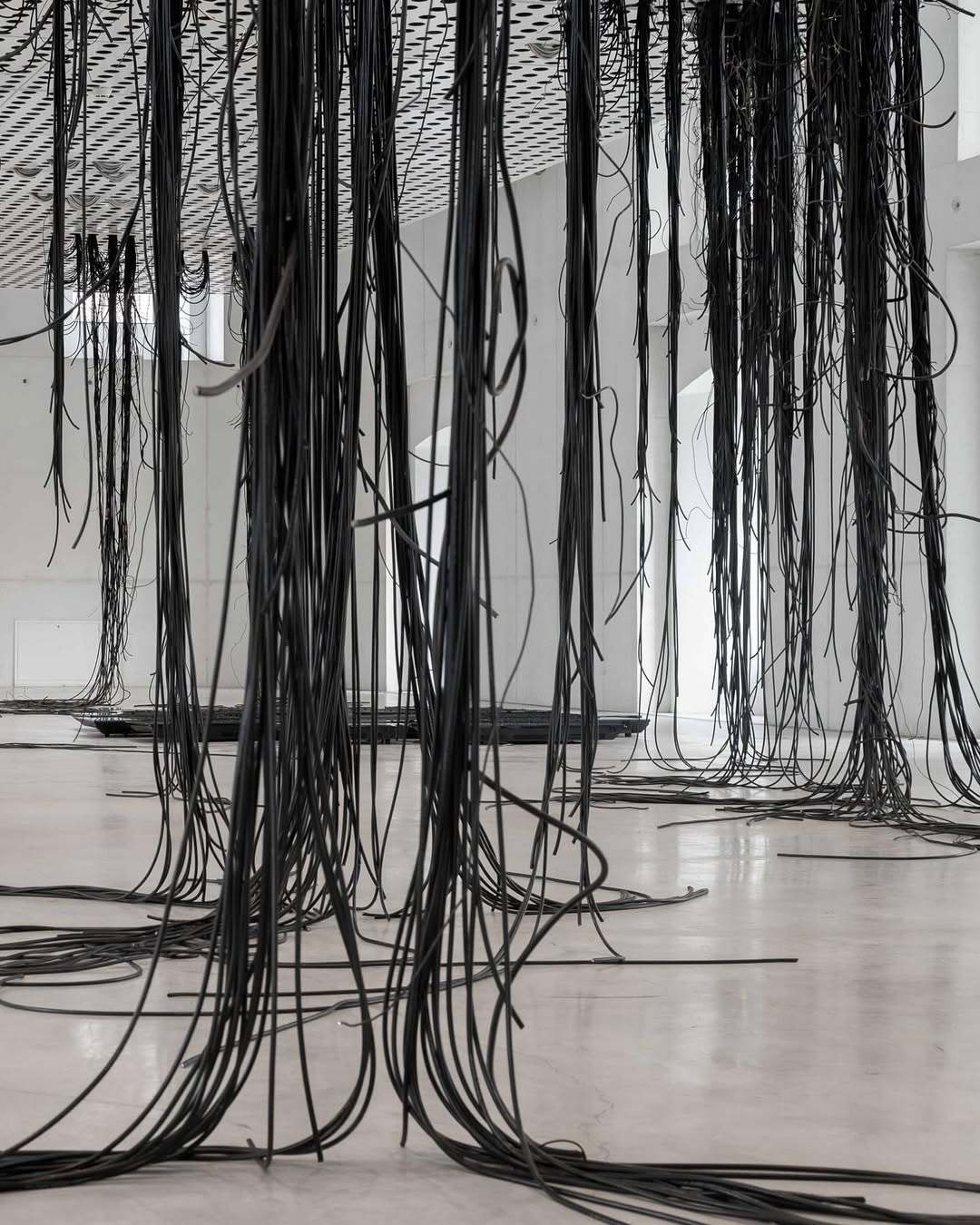 TAR STAR installation view 11