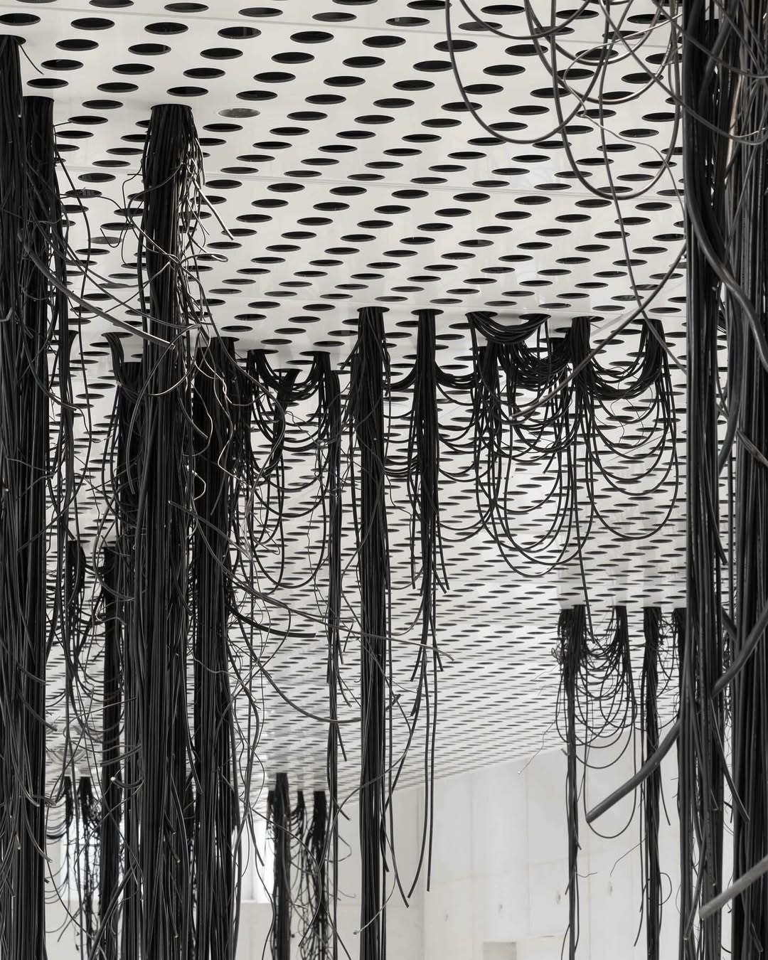 TAR STAR installation view 6