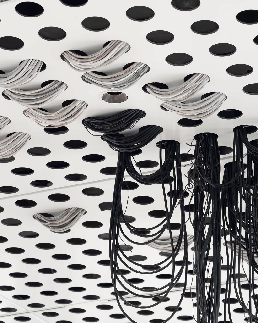TAR STAR installation view 7