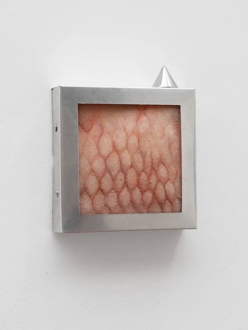 THE SIGNAL. THE NOICE installation view 10
