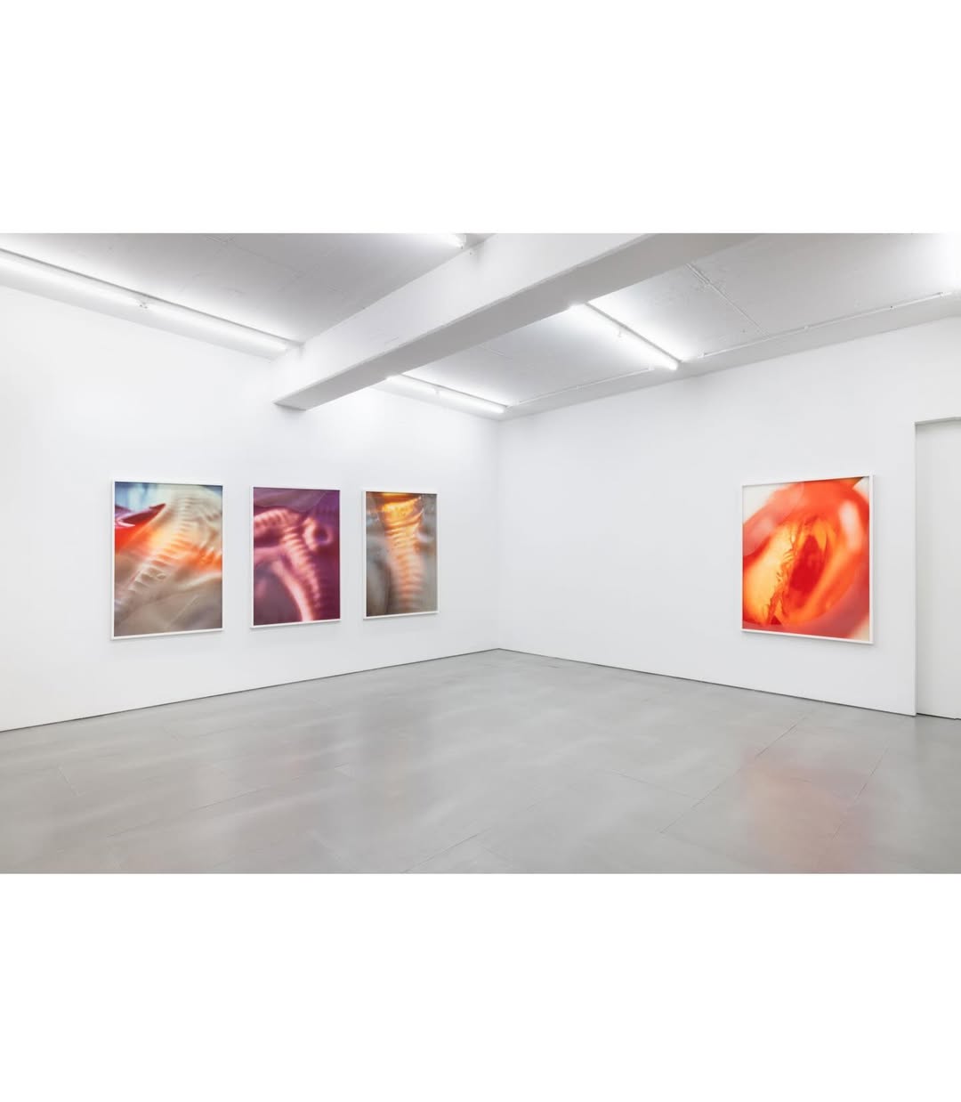 THRESHOLDS installation view 8