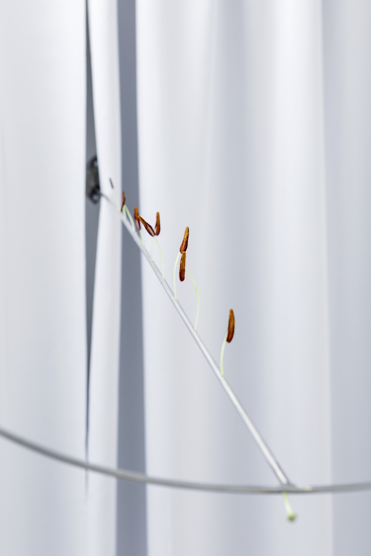 Territories of Extraction installation view 19