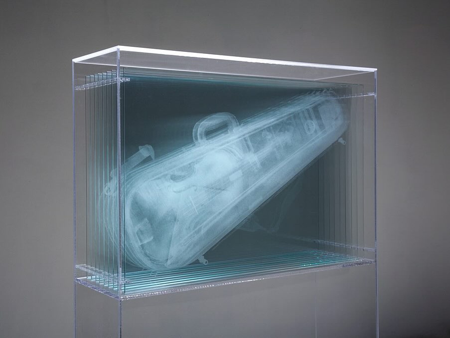 TRANSPARENCY REPORT installation view 5