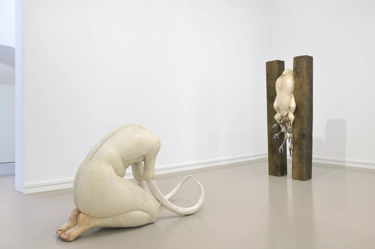 WHO COMPOSES THE SONG OF THE CRICKETS? installation view 2