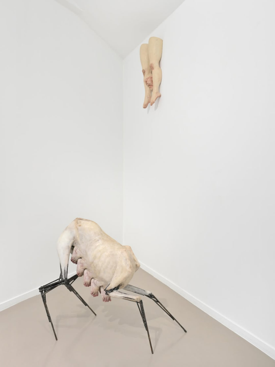 WHO COMPOSES THE SONG OF THE CRICKETS? installation view 3