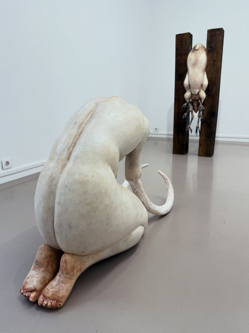 WHO COMPOSES THE SONG OF THE CRICKETS? installation view 8