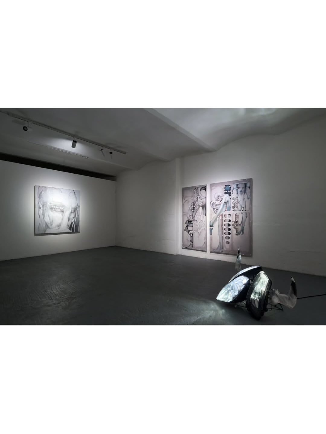 WITH FEATHERS AND FLESH installation view 11
